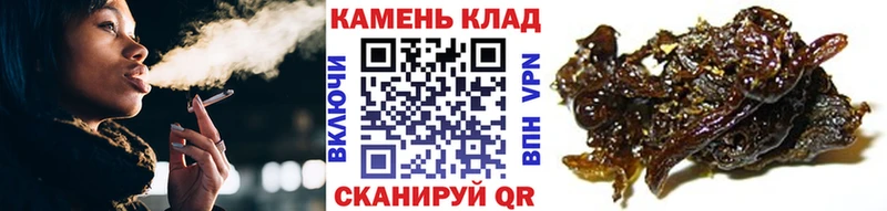 Купить где  Благодарный  ГАШ убойный 
