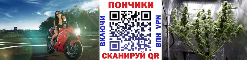 Купить  Благодарный  Бошки Шишки семена 
